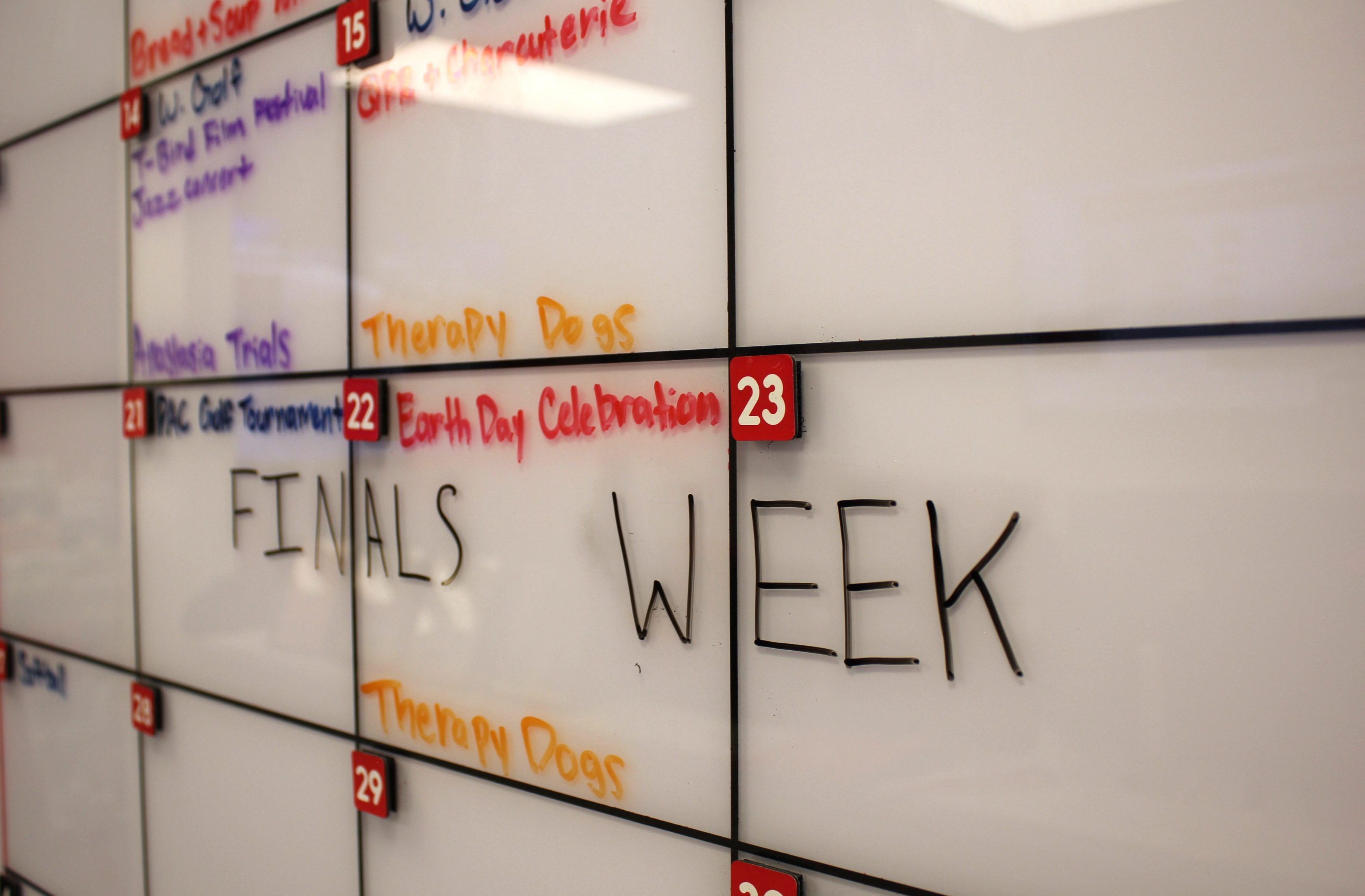 How to survive finals week SUU News