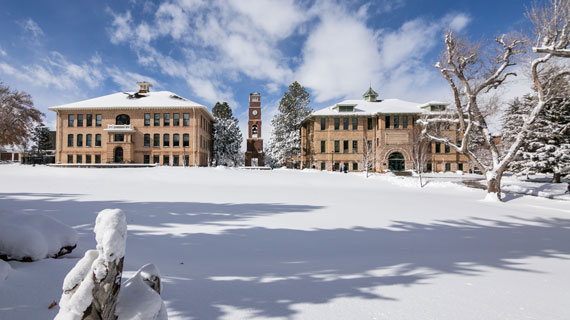 Weather and travel advisory